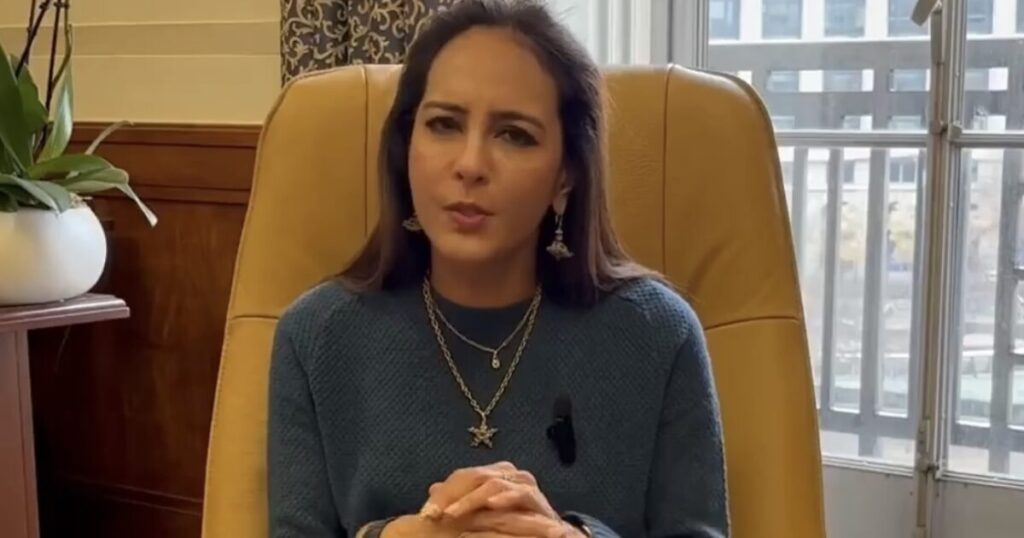“If you knowingly allow non-citizens to vote in elections, you are committing a federal crime!” [VIDEO] * The Gateway Pundit * by Patty McMurray