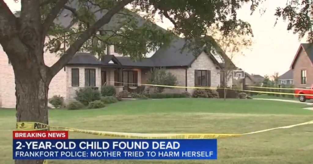 Illinois Mother Charged with Murder After Her 2-Year-Old Son Found Dead in Basement Earlier This Week * The Gateway Pundit * by Cristina Laila