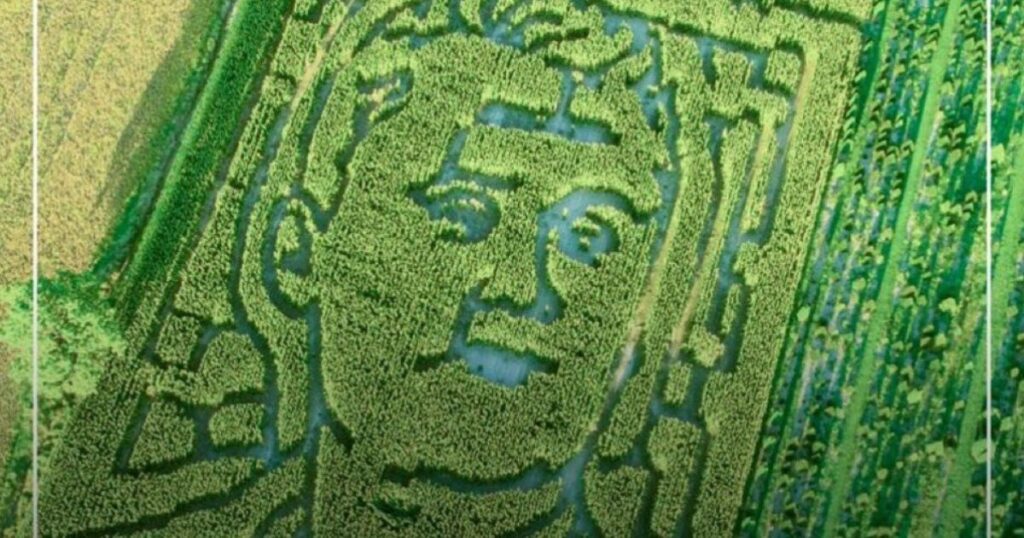 Indiana Farm Honors Charlie Kirk with Corn Maze, Then Gets Review-Bombed by Lunatic Leftists (VIDEO) * The Gateway Pundit * by Cassandra MacDonald