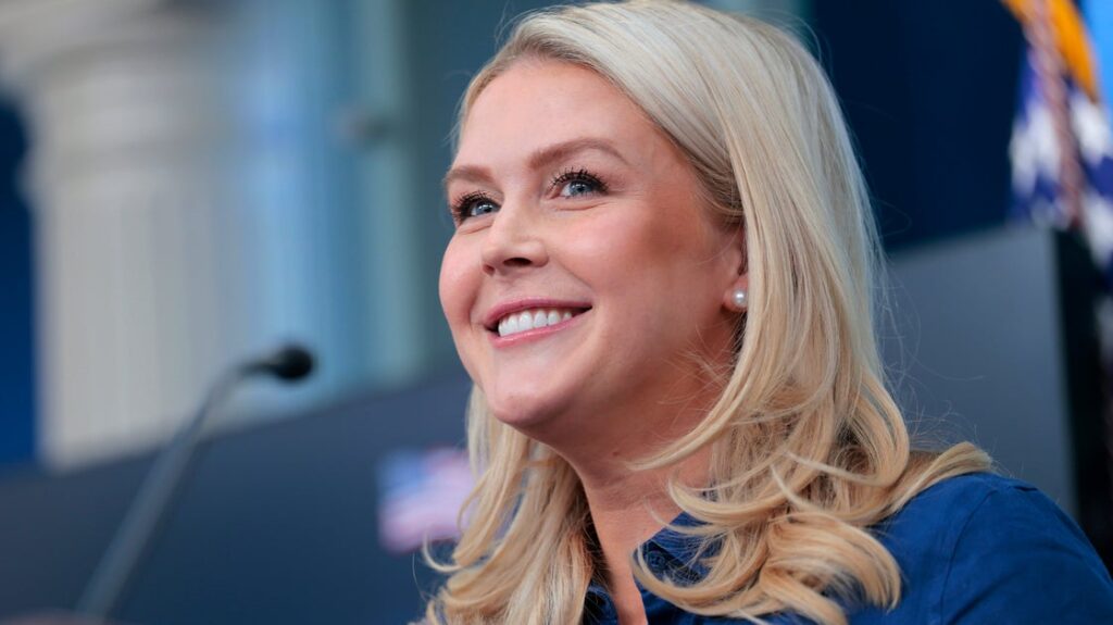 Karoline Leavitt’s New Attack On Dems Comes Right Back At Her