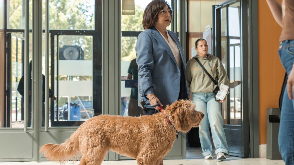 ‘Killing a Bear,’ ‘Celeste’ S2, Make Serielizados 2026 Competition Cut 'Killing a Bear,' 'Celeste' S2, Make Serielizados 2026 Competition Cut