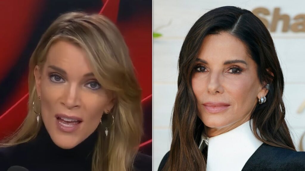 Megyn Kelly Erupts At Sandra Bullock Over Parenting Concerns Megyn Kelly Erupts At Sandra Bullock Over Parenting Concerns