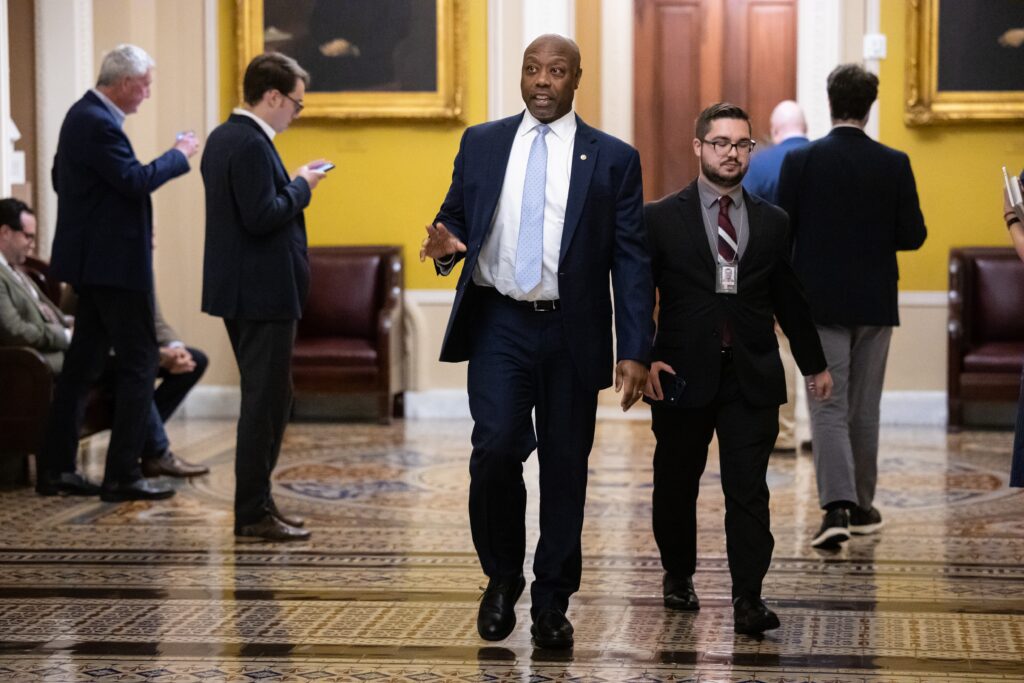 NRSC Chair Tim Scott leaves Georgia, North Carolina off his list of top Senate targets NRSC Chair Tim Scott leaves Georgia, North Carolina off his list of top Senate targets