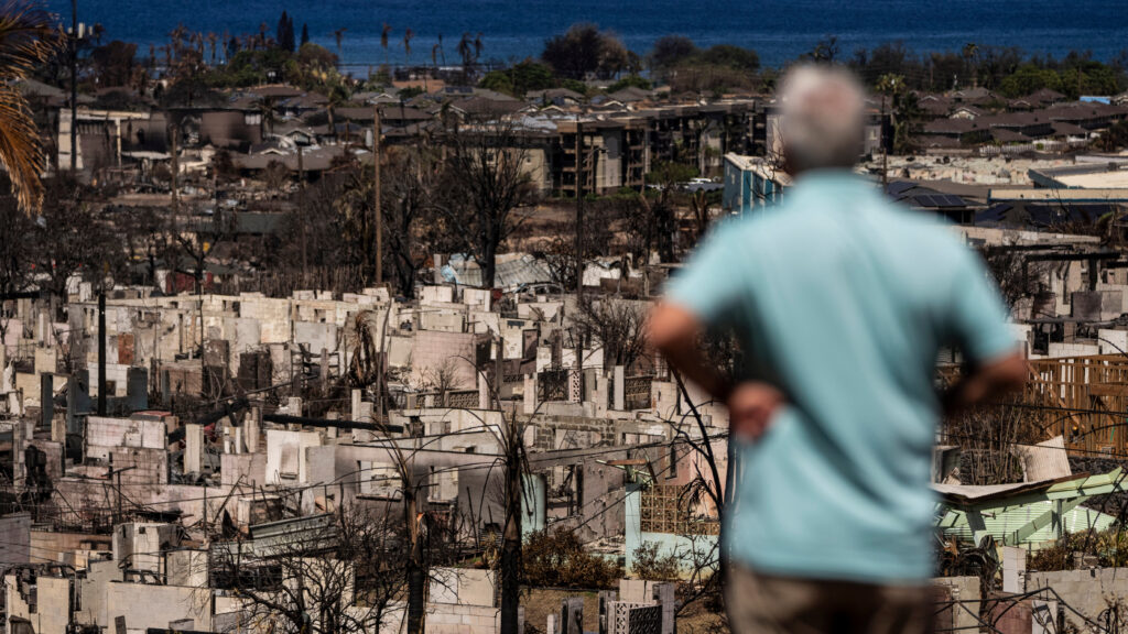 Risk from toxic metals can persist months after wildfires, Maui study finds Risk from toxic metals can persist months after wildfires, Maui study finds