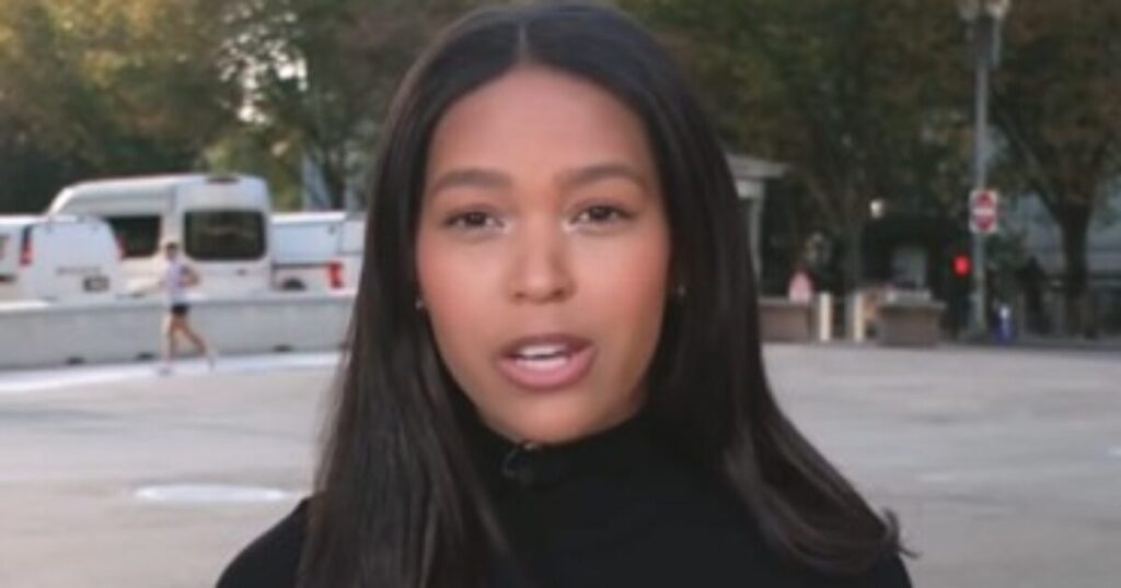 Surprised MSNOW ‘Reporter’ Goes Viral as She Reveals How She Got Barred from Entering The White House (VIDEO) Surprised MSNOW ‘Reporter’ Goes Viral as She Reveals How She Got Barred from Entering The White House (VIDEO)