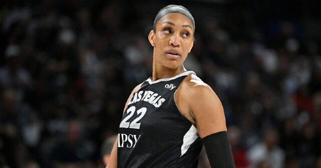 WNBA Folds, Refuses to Punish A’ja Wilson for Leaving the Floor and Angrily Confronting Fan