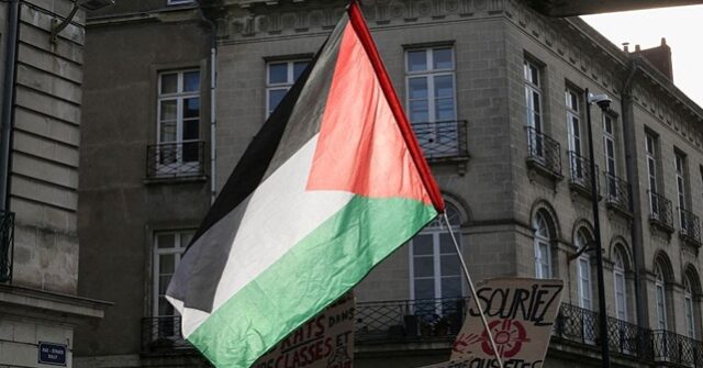 Palestinian Flags Always Show Up at Protests Due to ‘Anti-West’ Views