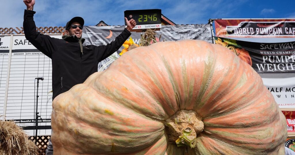 Giant Pumpkins Battle For Glory — And World Records Giant Pumpkins Battle For Glory -- And World Records
