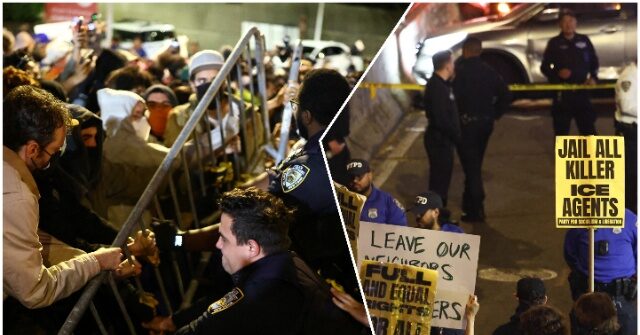 Criminal Alien Gang Member Shot by ICE Officer, Organized Protests Erupt
