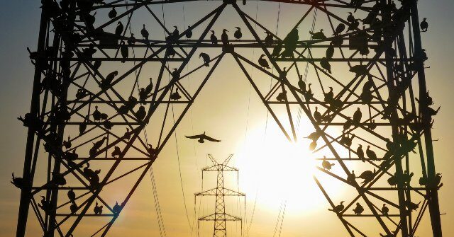 Utilities Struggle to Confront Issue of ‘Phantom’ AI Data Centers