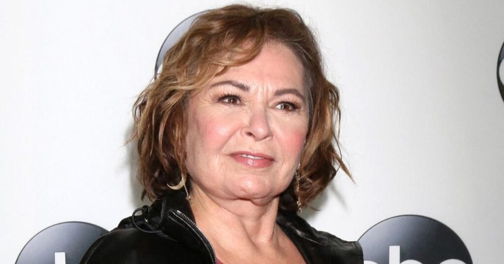 Roseanne Barr's New Sitcom 'Rejected' By Networks And Streamers