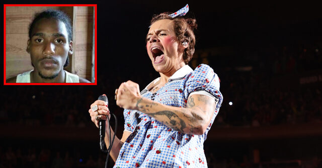 NY GOP Gov. Candidate Blakeman Tells Harry Styles to Welcome Gangbanger Shot by ICE to Tour with Him